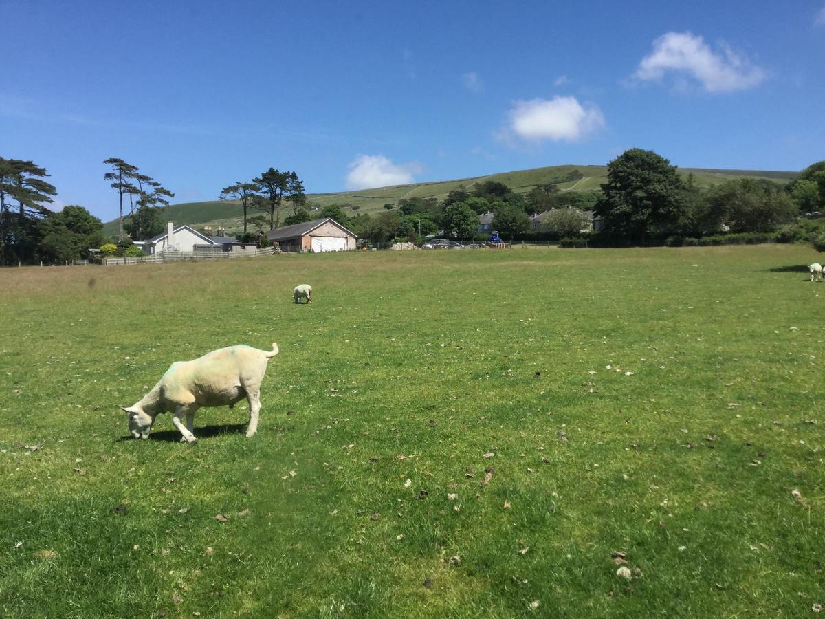 Plas Y Nant Llwyngwril Εξωτερικό φωτογραφία